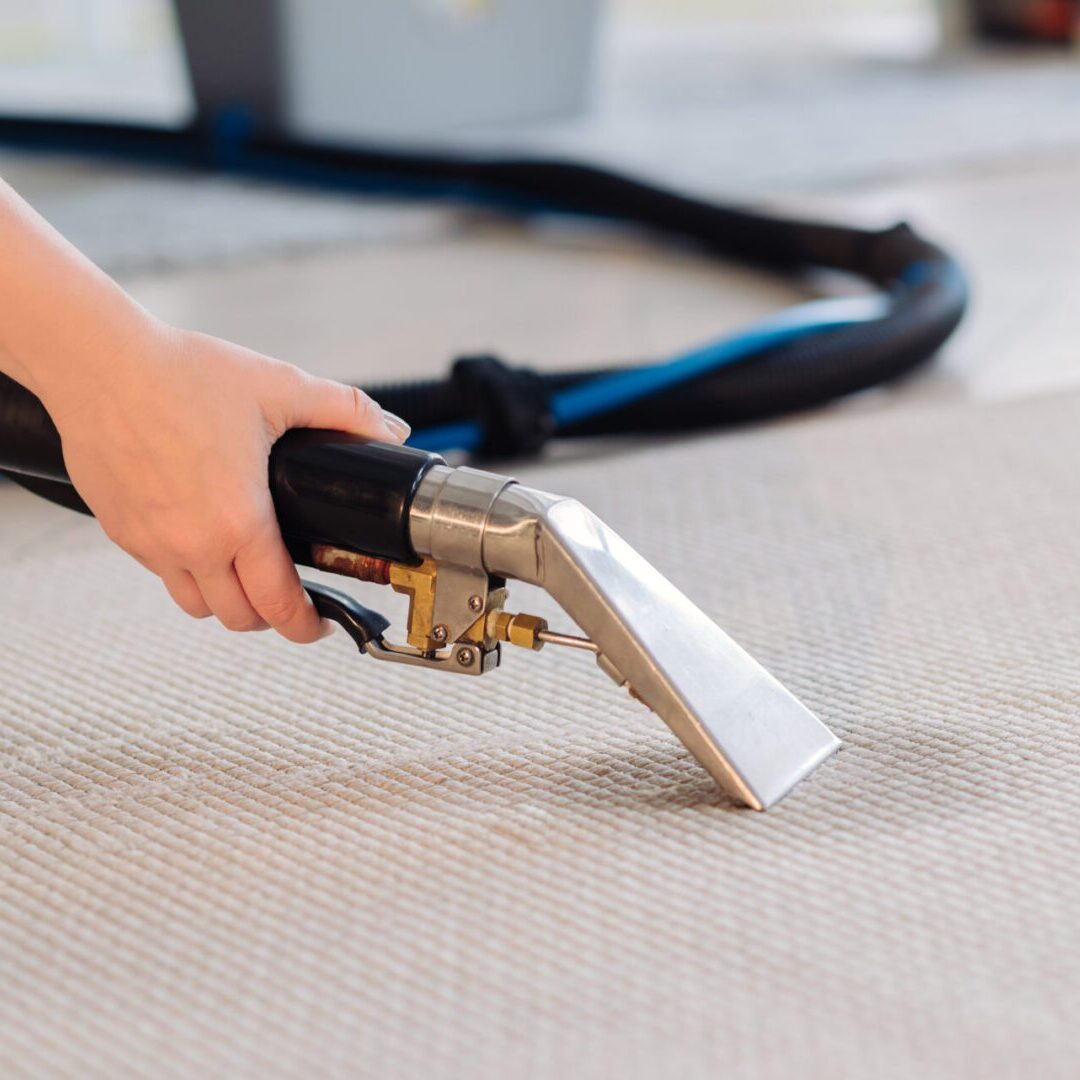 Hand using vacuum on beige carpet.