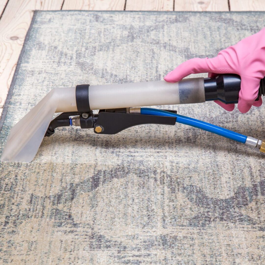 Vacuum cleaning a carpet with hose attachment.