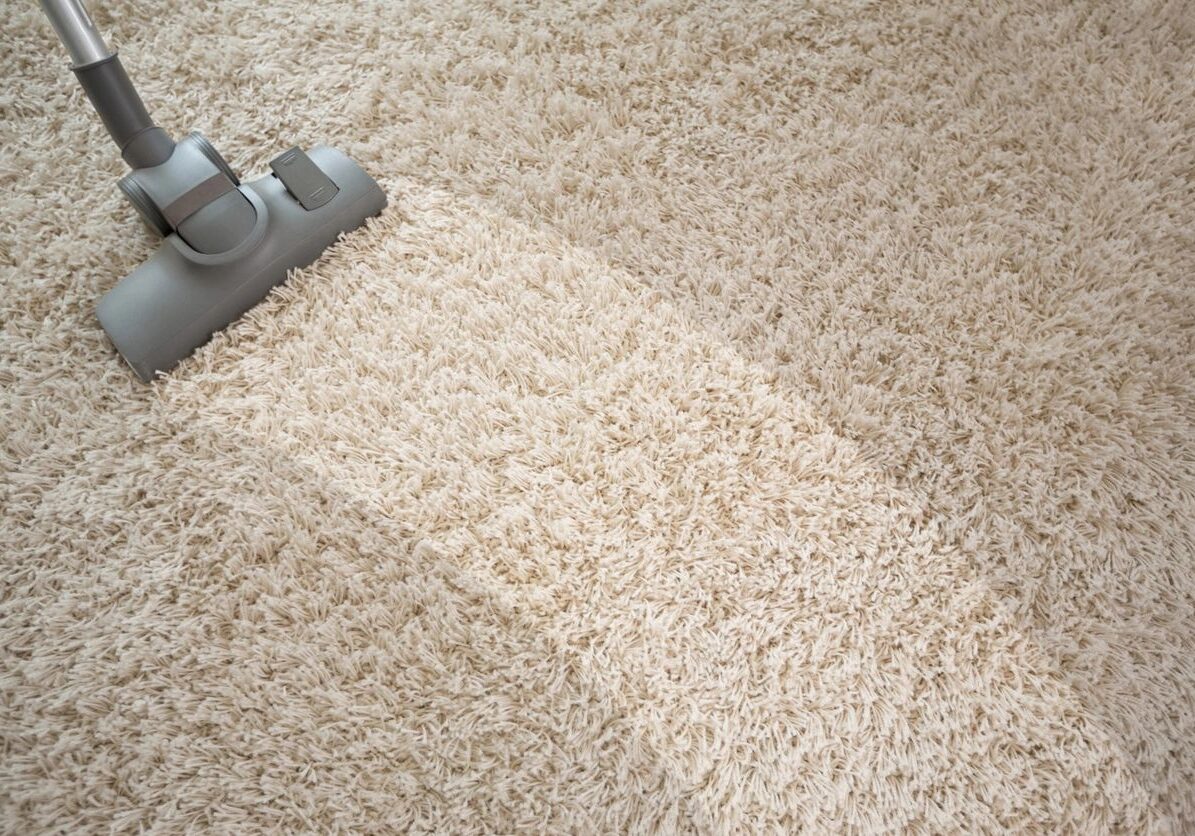 fm=f_5zJyYnJ A carpet cleaning machine is on the floor.